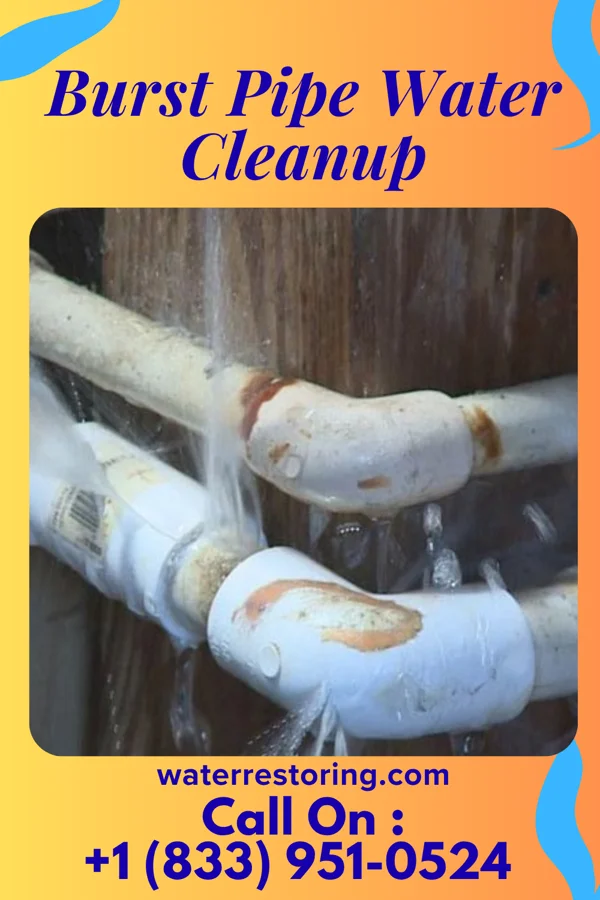 Burst Pipe Water Cleanup in Mount Kisco, NY