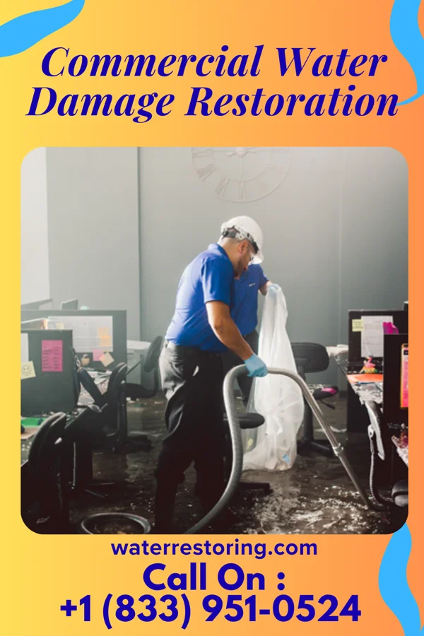 Commercial Water Damage Restoration in Mount Kisco, NY