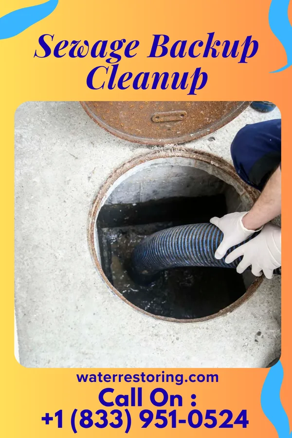 Sewage Backup Cleanup in Mount Kisco, NY
