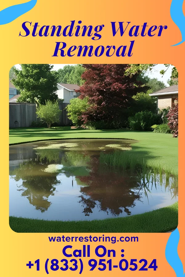 Standing Water Removal in Mount Kisco, NY